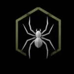 Spider Control