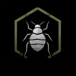 Bed Bugs Control
